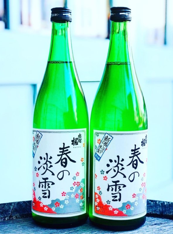 【要冷蔵】 出羽桜 しぼりたて 春の淡雪 本醸造 本生